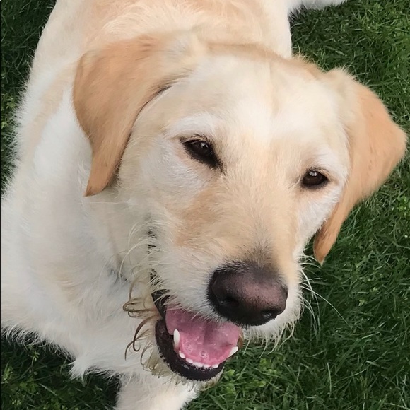 Meet your Posher, Erin - Picture 1 of 1